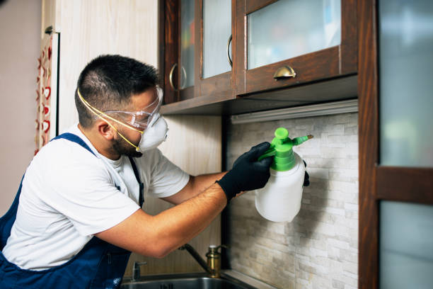 Best Wildlife Control Services  in Alderson, WV