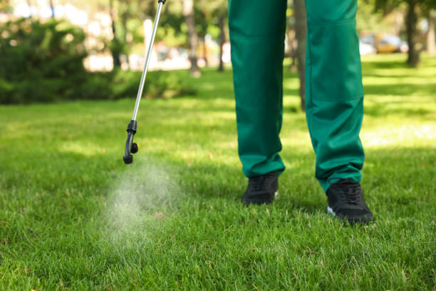 Best Pest Prevention Services  in Alderson, WV