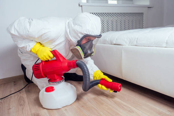 Best Wasp Removal Services  in Alderson, WV