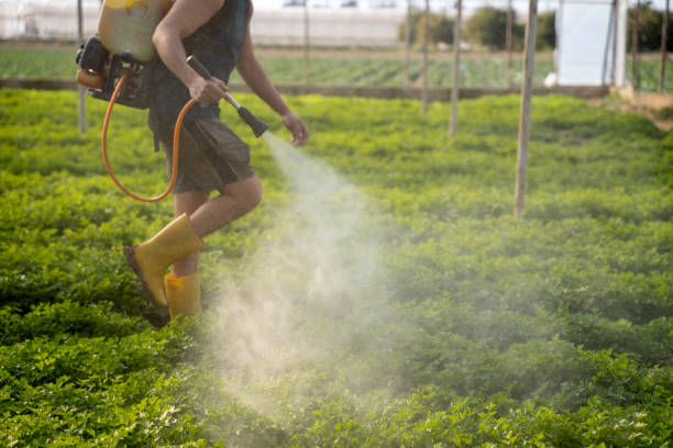 Best Mosquito Control Services  in Alderson, WV