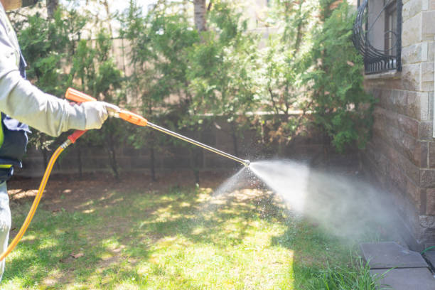 Best Emergency Pest Control  in Alderson, WV