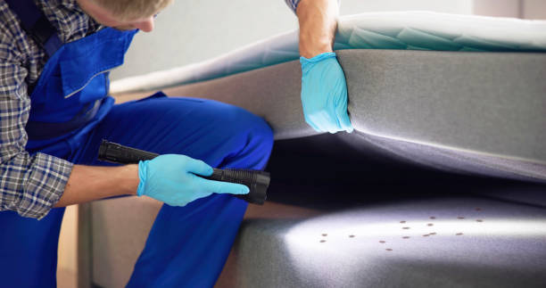 Best Mosquito Control Services  in Alderson, WV