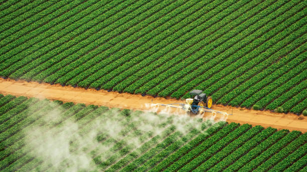 Best Pest Prevention Services  in Alderson, WV