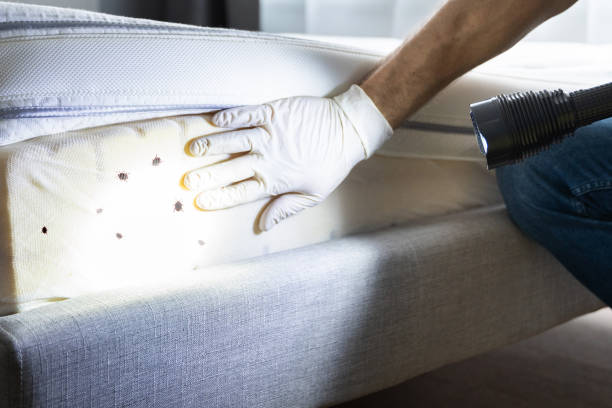 Best Best Pest Control Companies  in Alderson, WV