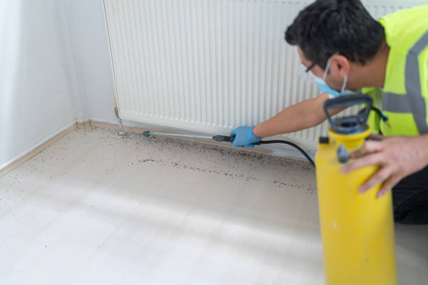 Best Ant Control Services  in Alderson, WV