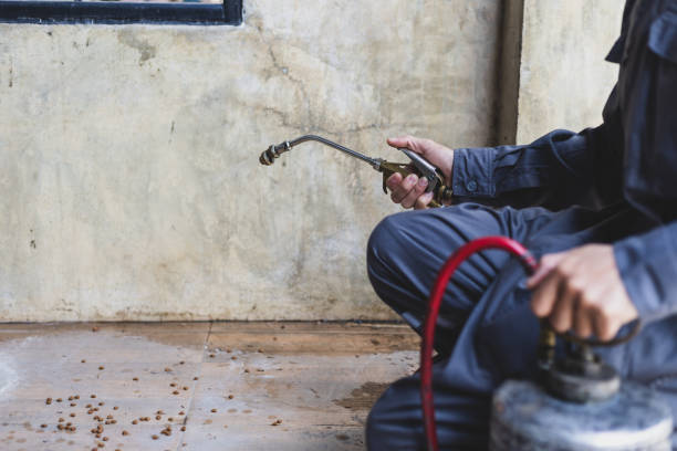Pest Prevention Services in Alderson, WV