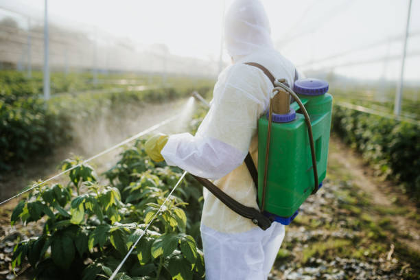 Best Insect Control  in Alderson, WV